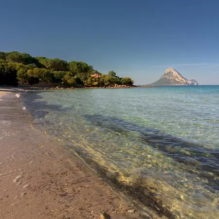 Adalgisa Porto Taverna